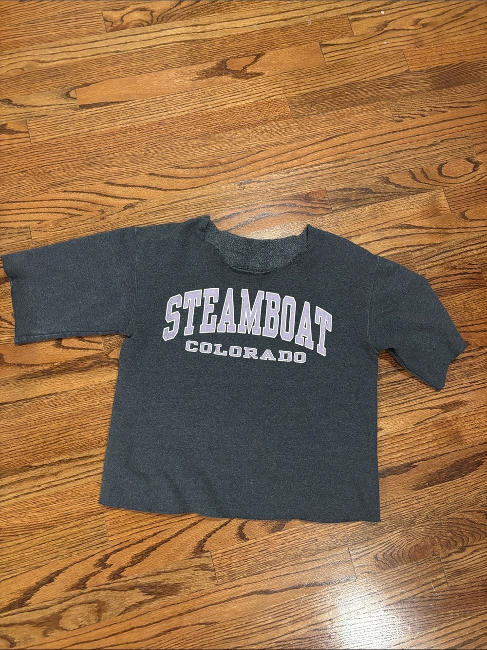 Steamboat Colorado Gray Sweatshirt Kids l/xl Women s/m